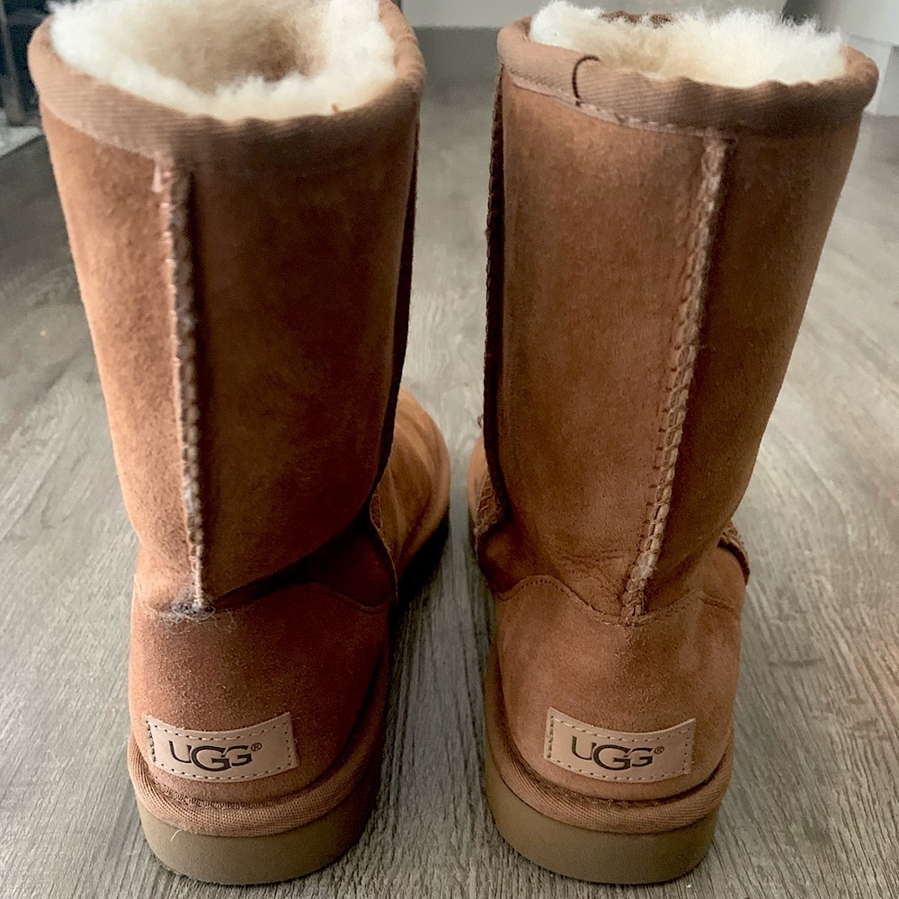 Classic Short Chestnut UGG Boots